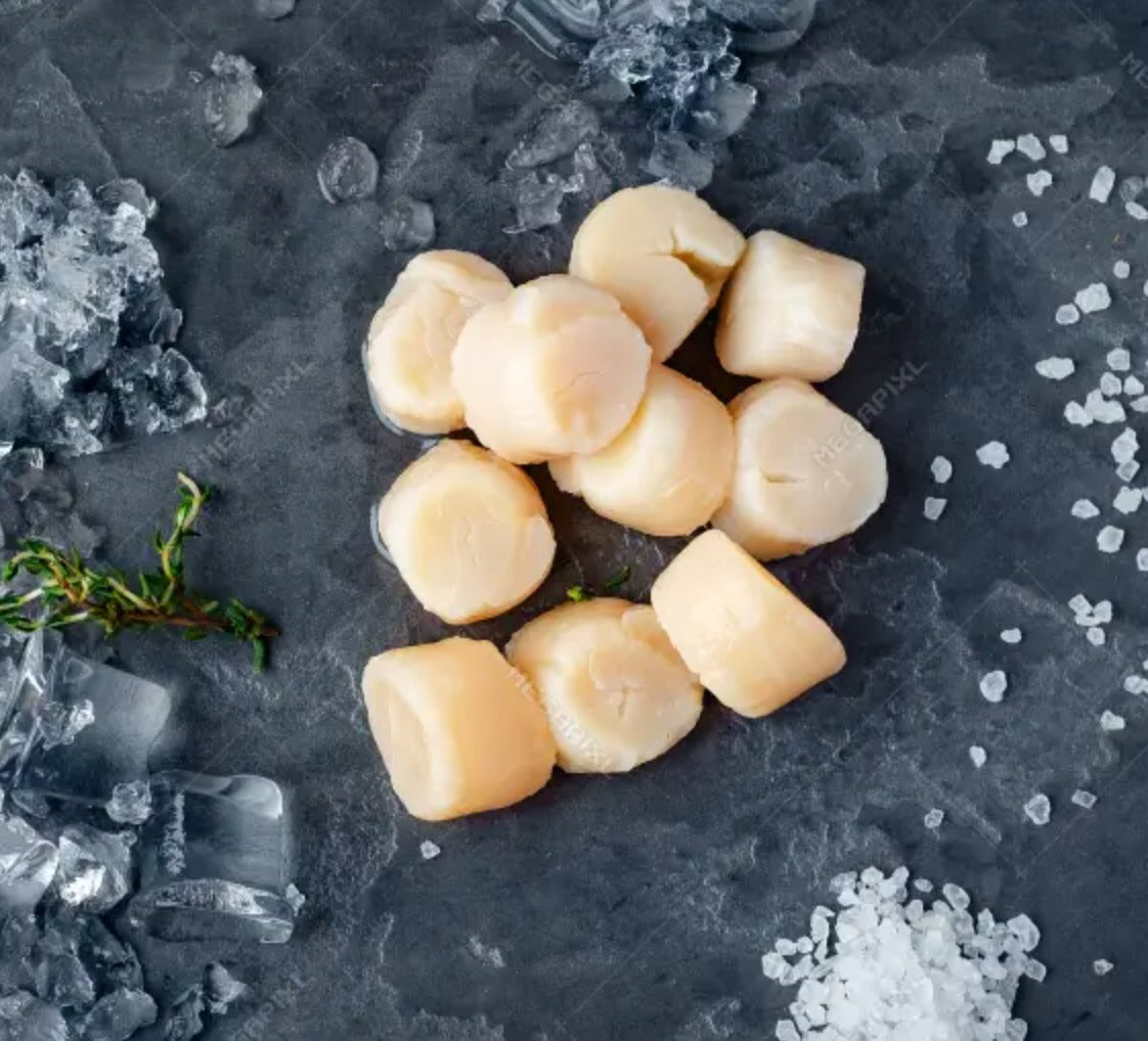 Order Scallops Online