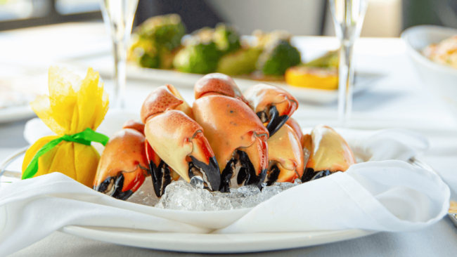 10 Fun Facts About Florida Stone Crab