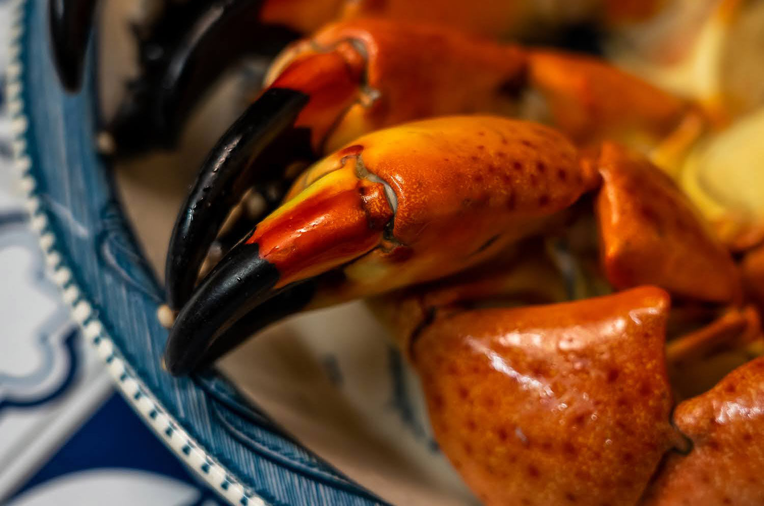 What to Do With Frozen Stone Crab Claws