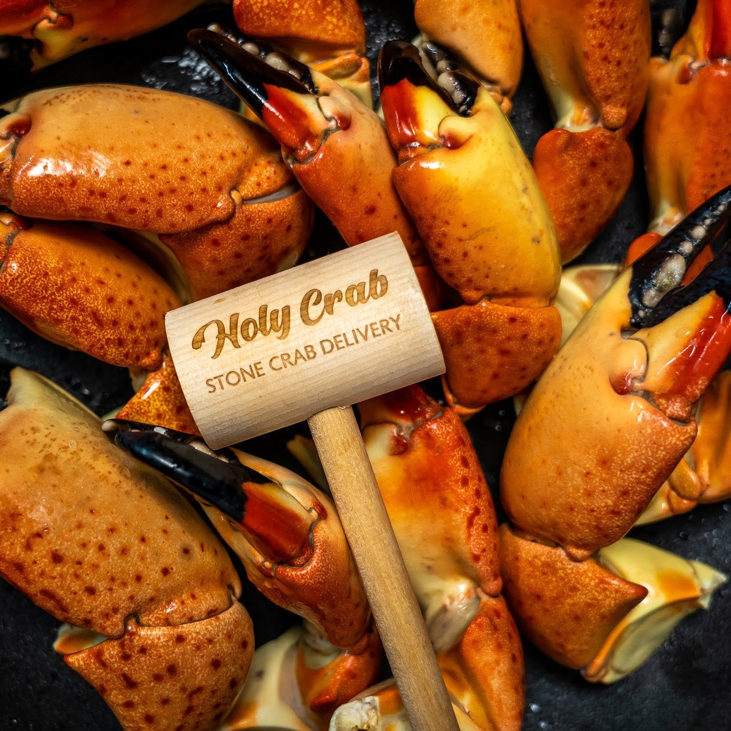 Stone Crab Price Per Pound 2025