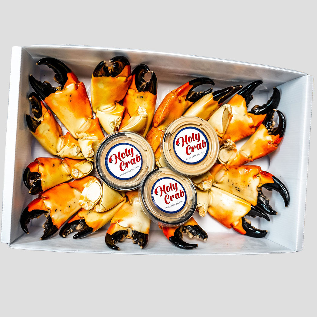 Stone Crab Claw Season Explained Holy Crab Delivery