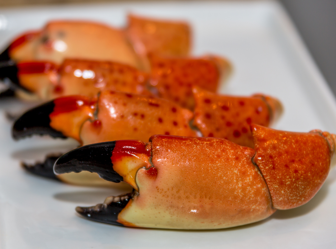 Properly Storing Stone Crab Claws for Maximum Freshness and Flavor