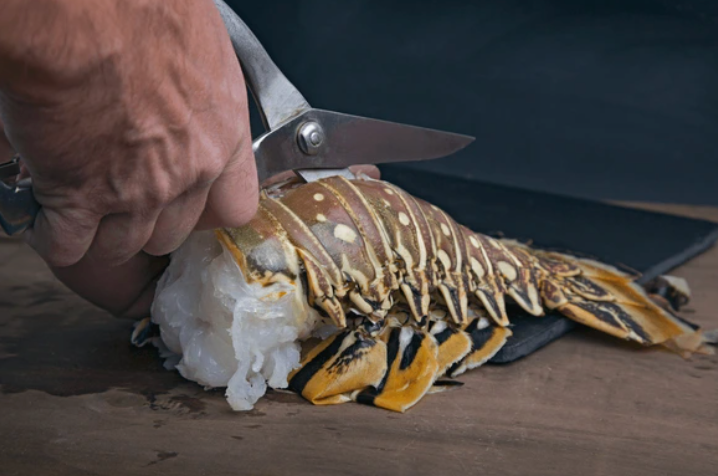 Lobster Delivery