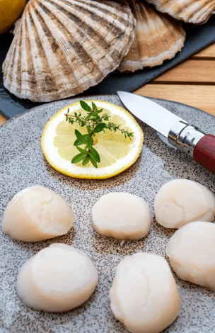 Order Scallops Online