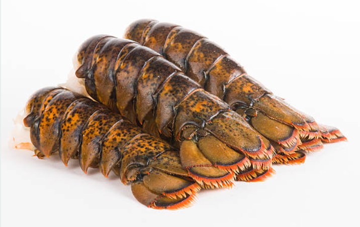 Florida Lobster Tails