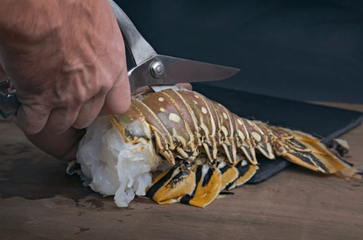 Florida Lobster Tails