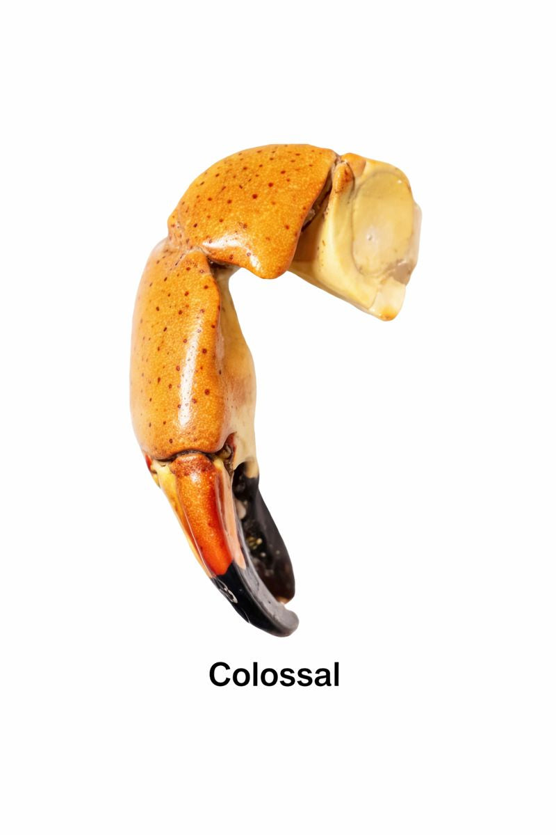 Stone Crab Claws