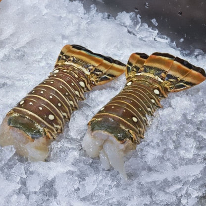 Florida Lobster Tails