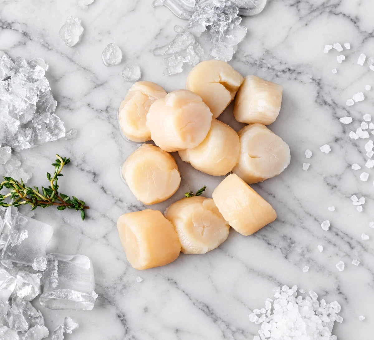 Buy Scallops Online