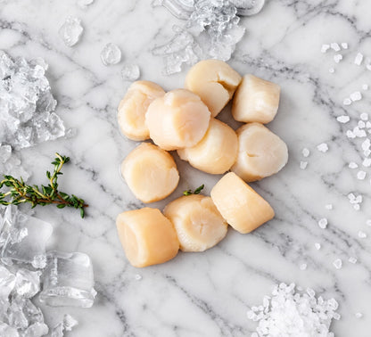 Buy Scallops Online