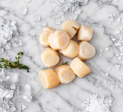 Buy Scallops Online