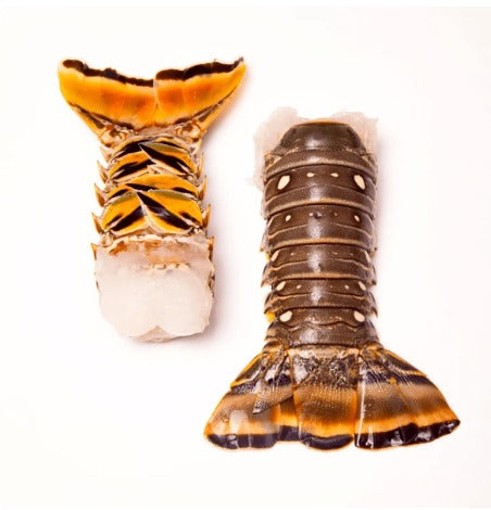 Florida Lobster Tails