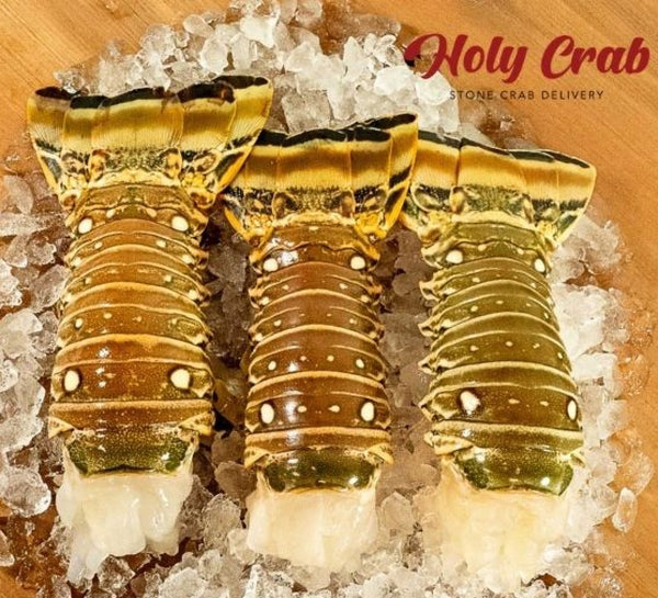 Florida Lobster Tails