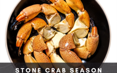 Stone Crab Claw Season Explained