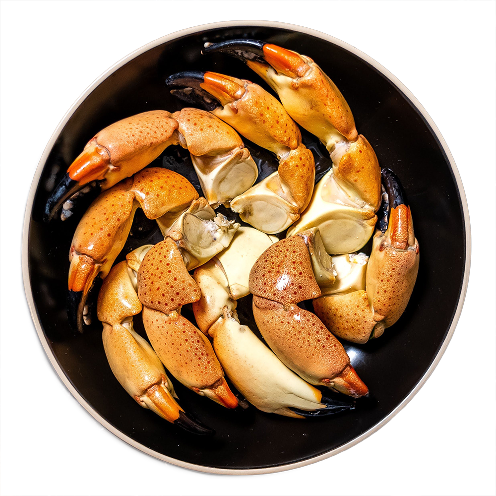 stone-crab-delivery