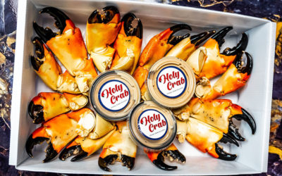 Your Stone Crab Questions Answered