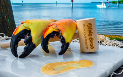 How to Catch Stone Crab