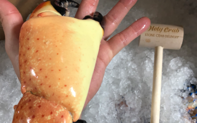 What Size Stone Crab Claws Are the Best for Me?