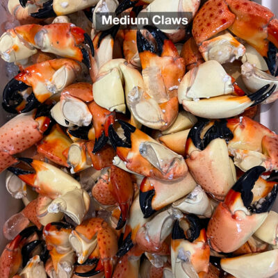 Medium Stone Crab Claws