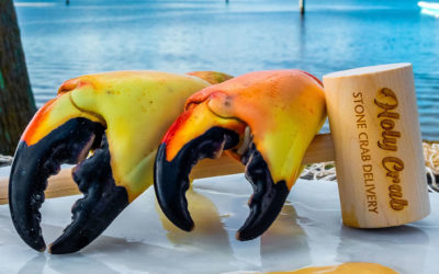 What To Know: Florida Stone Crabs