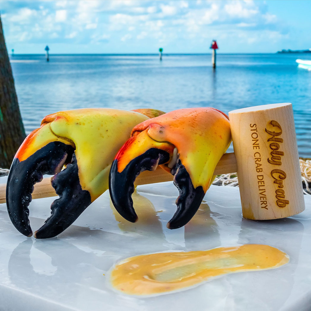 Fresh,Never Frozen Stone Crab Delivery - holy Crab