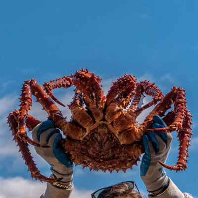 Alaskan King Crab Legs - Jumbo