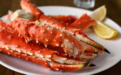 Types of Florida Crab – Which is Right for You?
