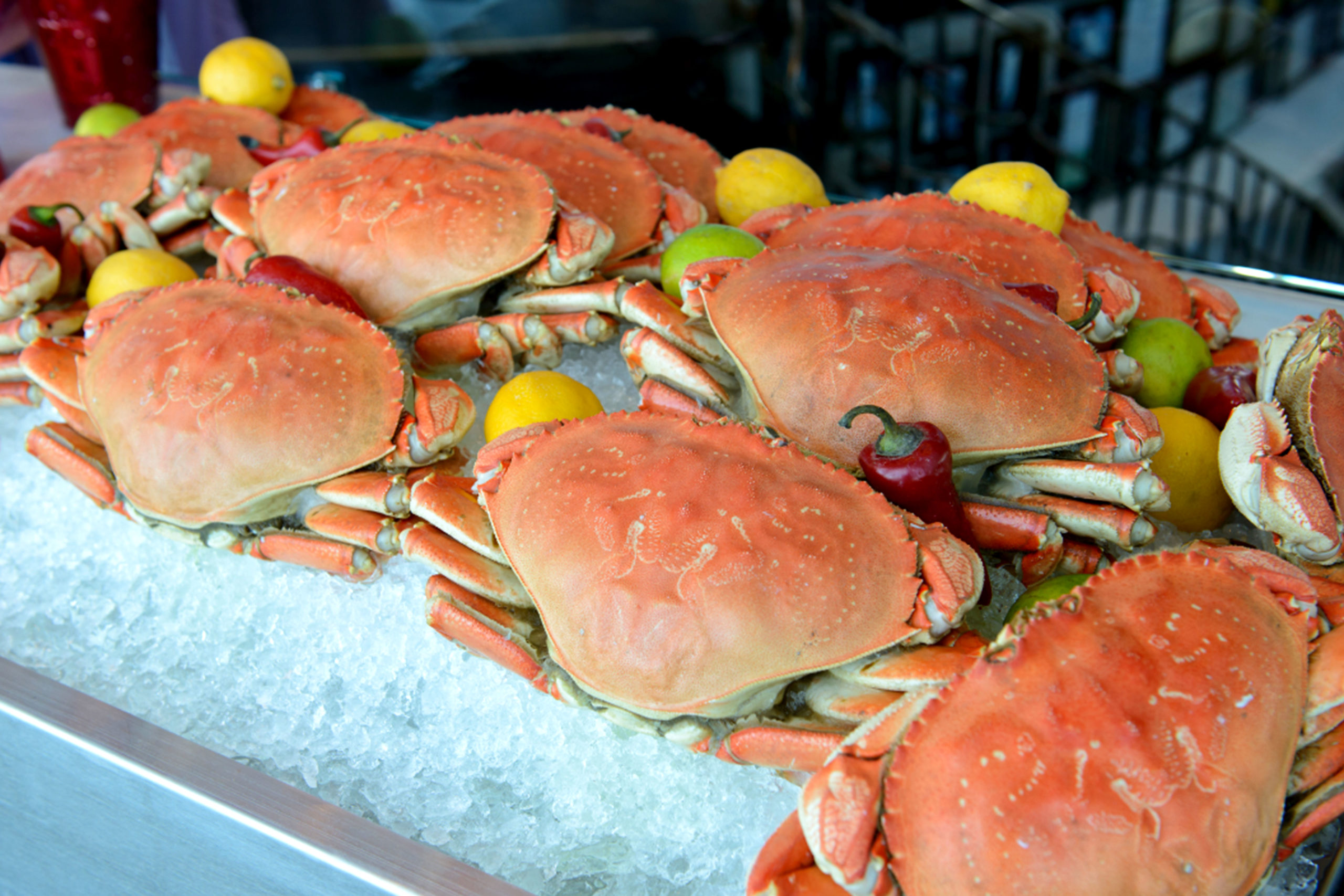 order dungeness crab online scaled