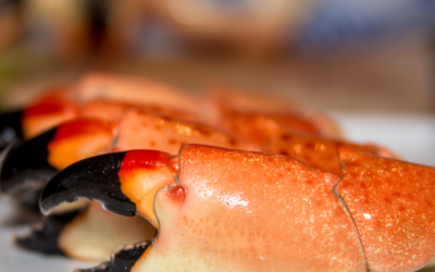 Experience the Freshness of Stone Crab Season with Holy Crab Delivery