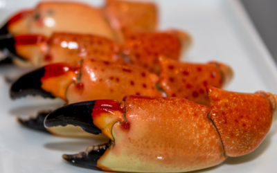 Properly Storing Stone Crab Claws for Maximum Freshness and Flavor