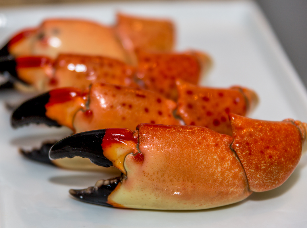 Store Stone Crab Claws - Holy Crab Delivery