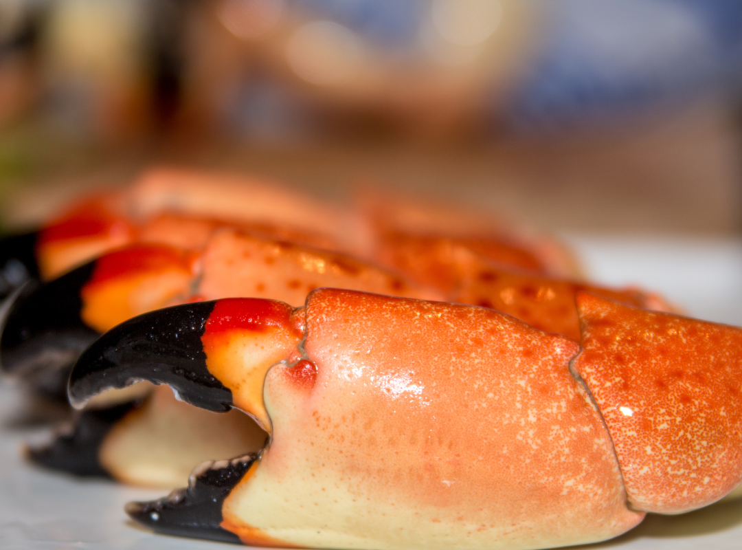 Store Stone Crab Claws
