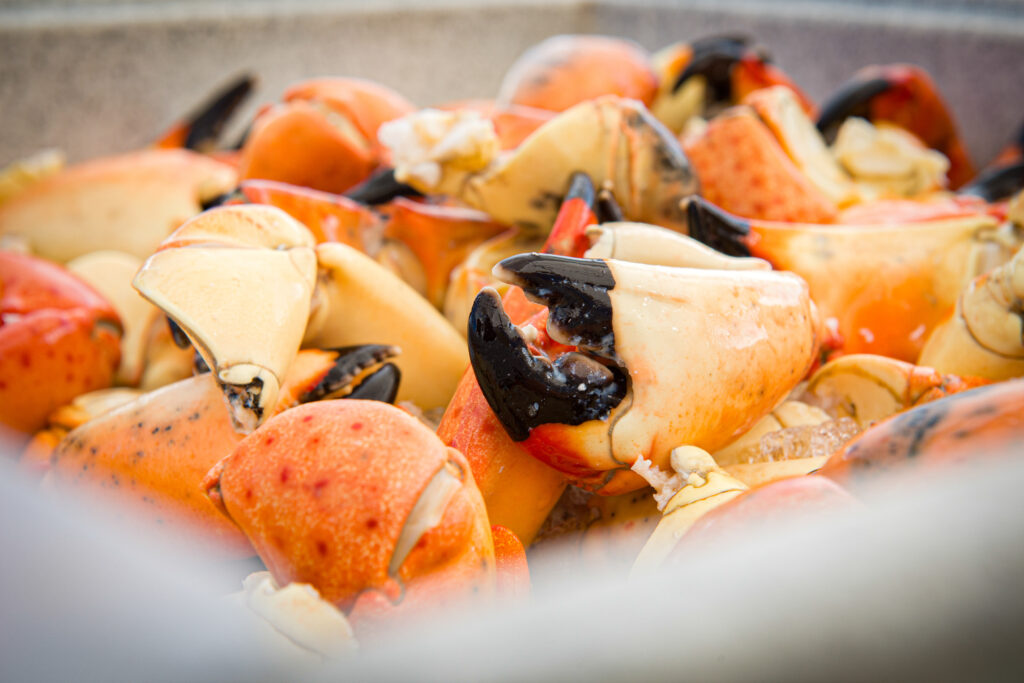 crack stone crab claws - Holy Crab Delivery