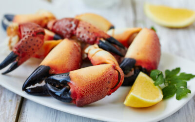 How to Crack Stone Crab Claws
