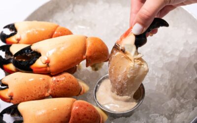 The Ultimate Guide to Florida Stone Crab Claws