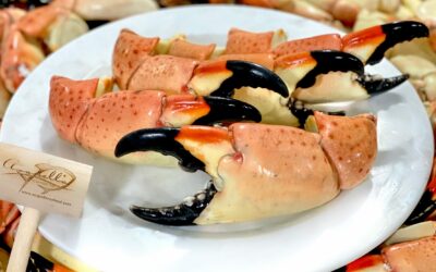 Stone Crab Season: A Guide to Everything You Need to Know