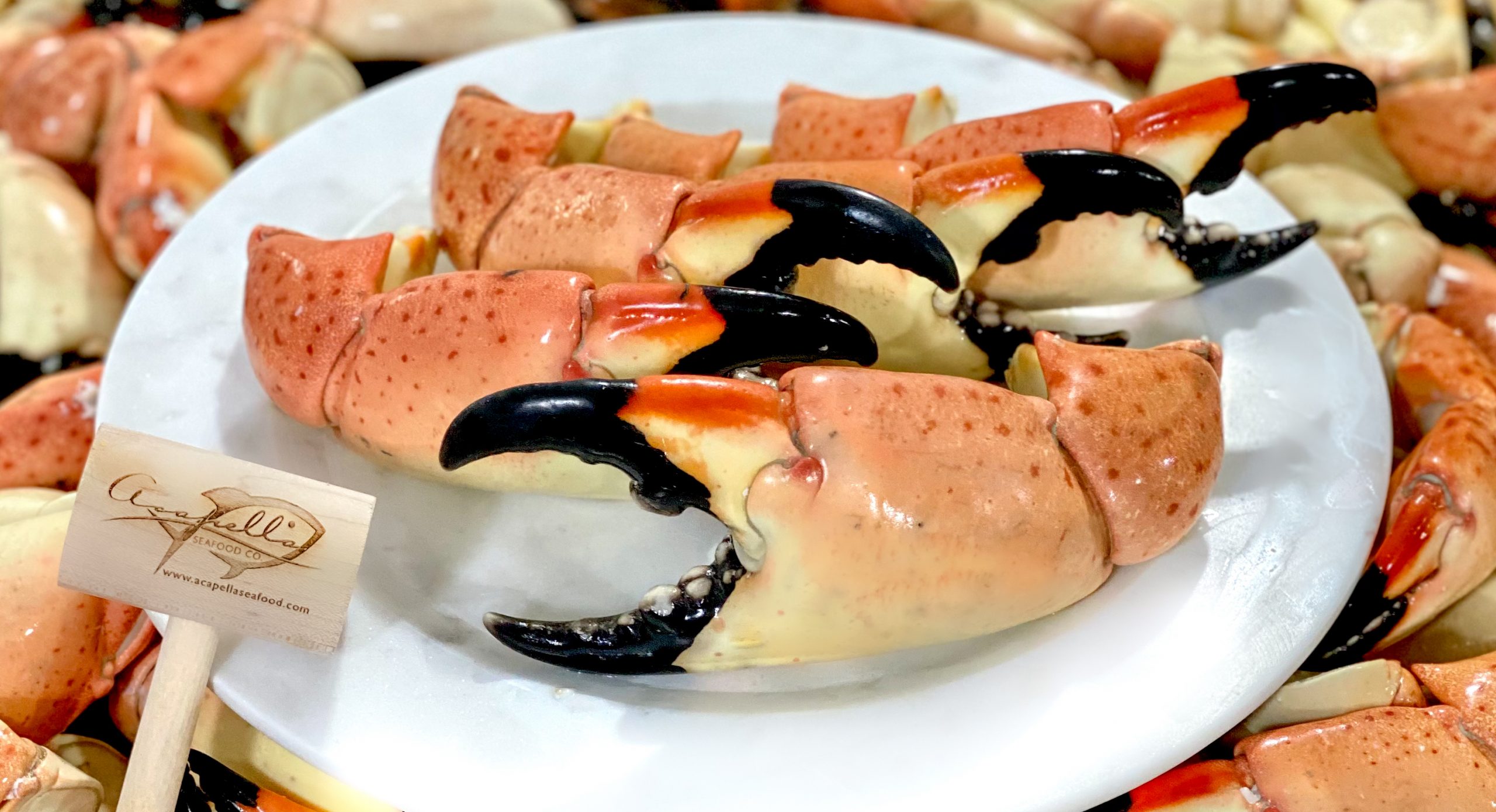 Are You Ready For Stone Crab Season