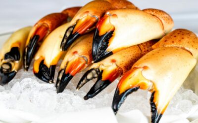 How to Tell If Your Stone Crab is Fresh