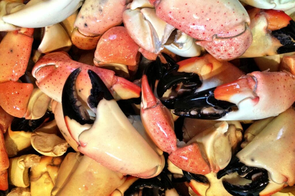Ins and Outs of Florida Stone Crab Claws 1