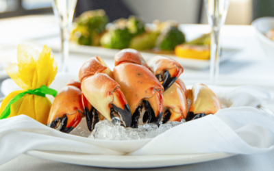 10 Fun Facts About Florida Stone Crab